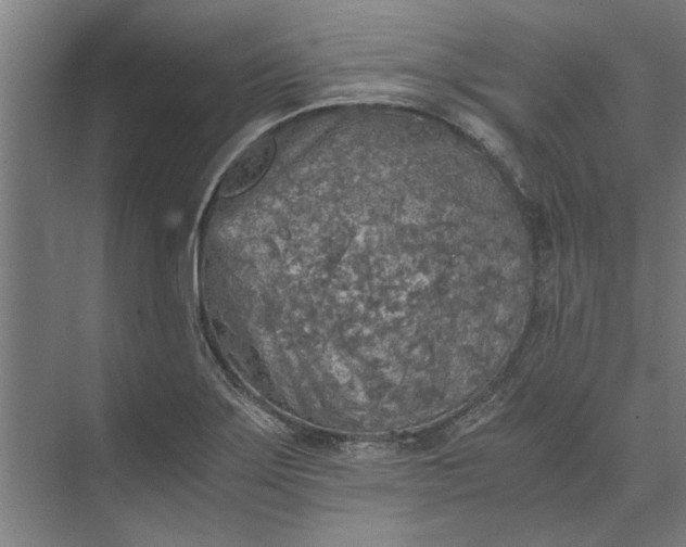 X0000073841275200608241007