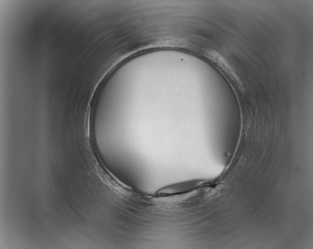 X0000073841276200608241007