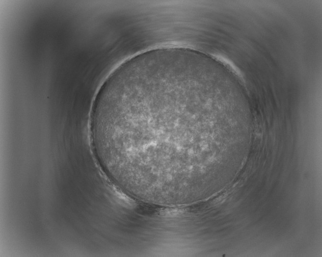 X0000073841278200608241007