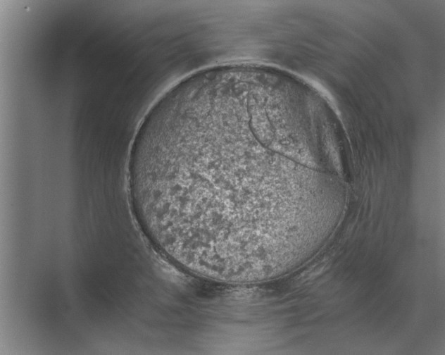 X0000073841279200608241007