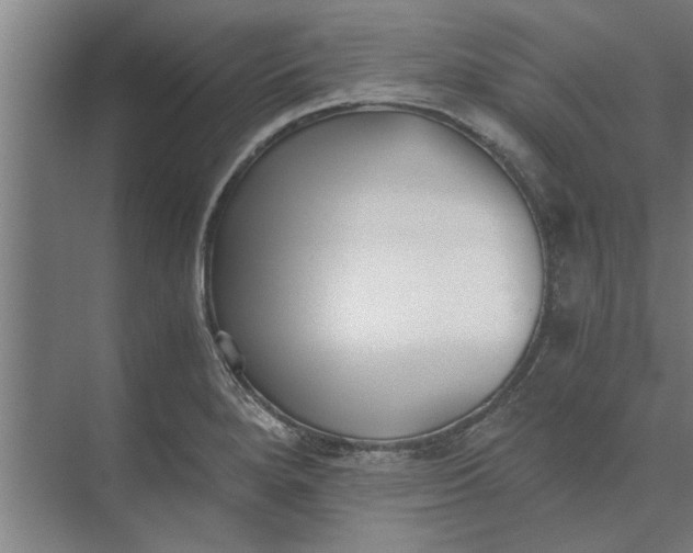 X0000073841280200608241007