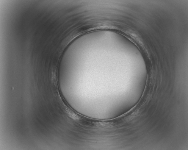 X0000073841281200608241007