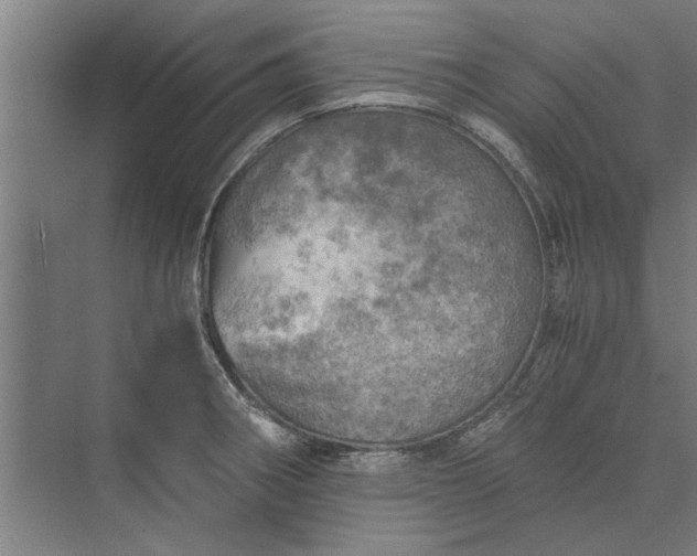 X0000073841282200608241007