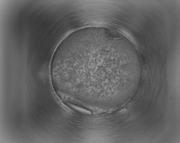 X0000073841283200608241007