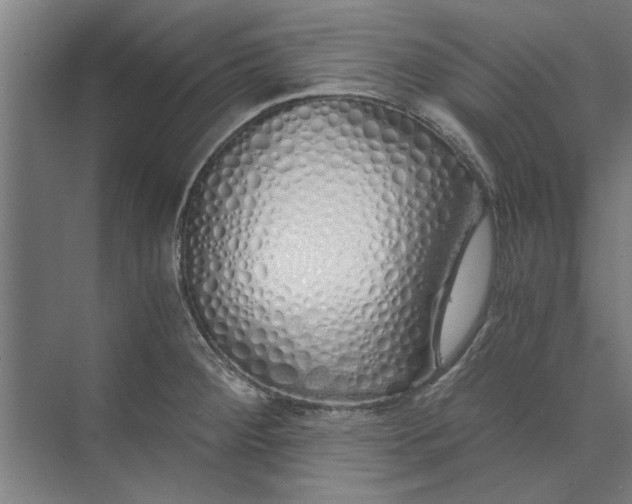 X0000073841284200608241007