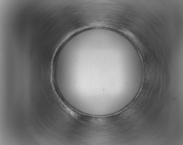 X0000073841286200608241007