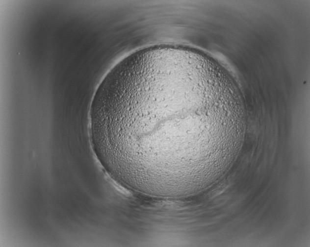 X0000073841287200608241007