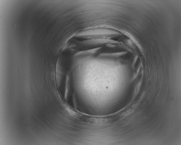 X0000073841289200608241007