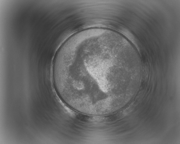 X0000073841290200608241007