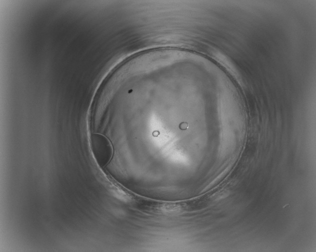 X0000073841291200608241007