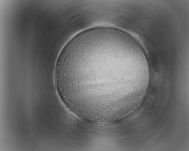 X0000073841295200608241007