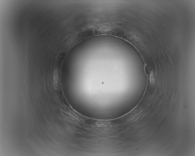 X0000073841299200608241006