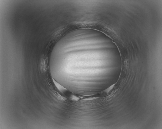 X0000073841300200608241006