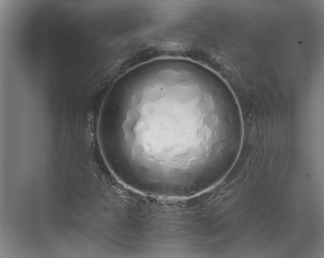 X0000073841301200608241006