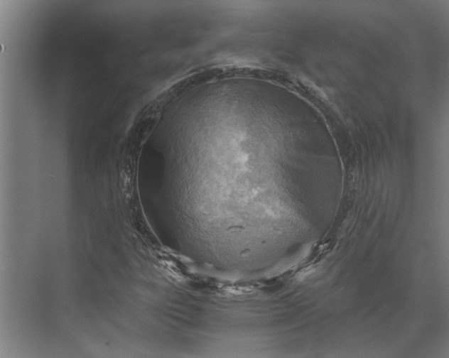 X0000073841303200608241006