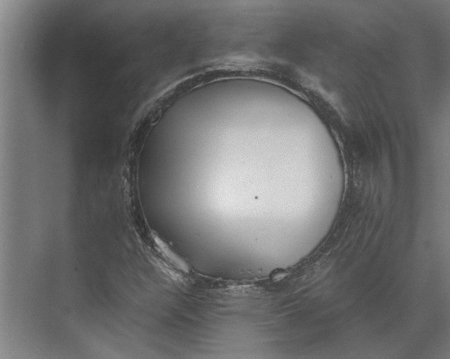 X0000073841304200608241006