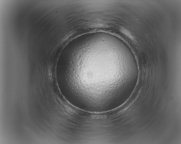 X0000073841305200608241006