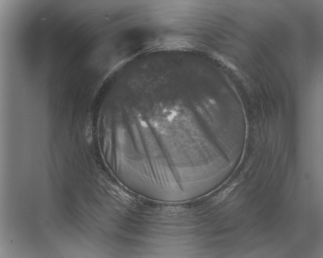 X0000073841306200608241006