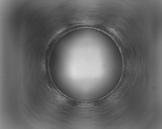 X0000073841307200608241006