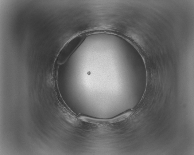 X0000073841308200608241006