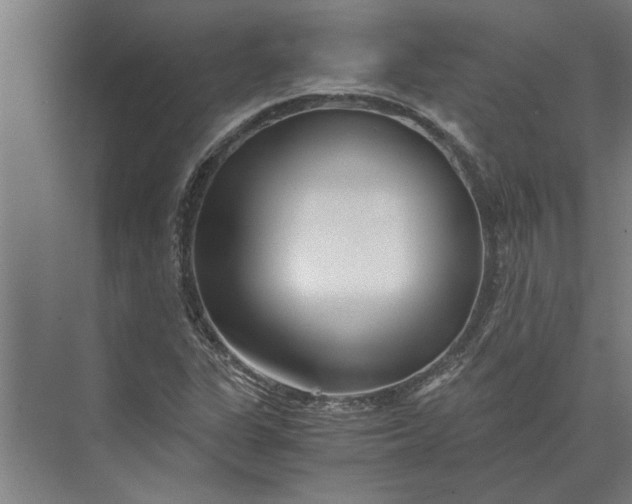 X0000073841311200608241006