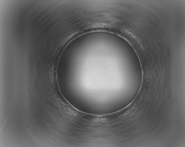 X0000073841313200608241006