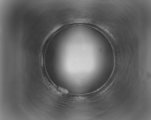 X0000073841317200608241006