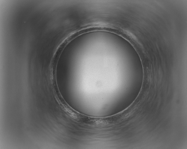 X0000073841318200608241006