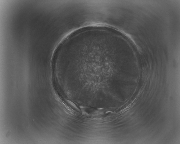 X0000073841319200608241006