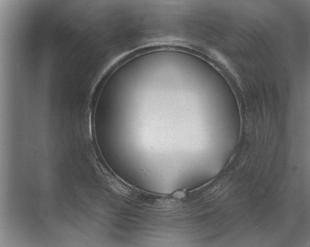 X0000073841320200608241006