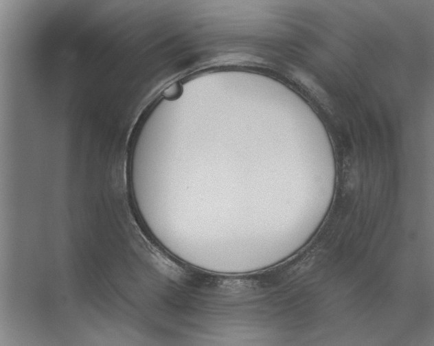 X0000073841322200608241006