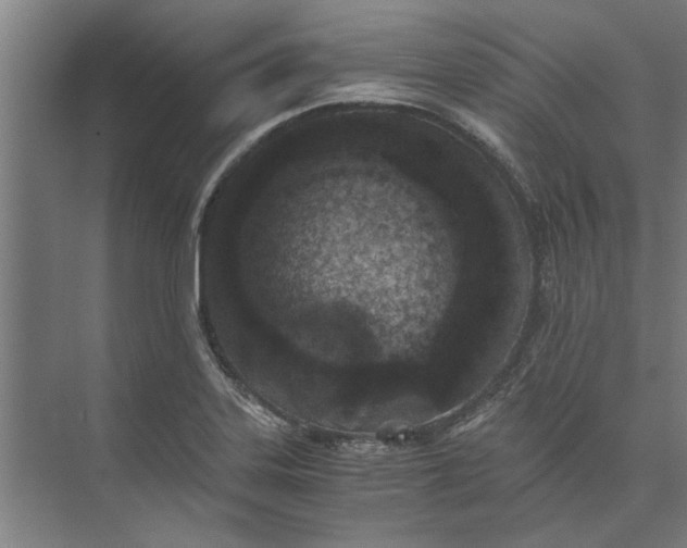 X0000073841323200608241006