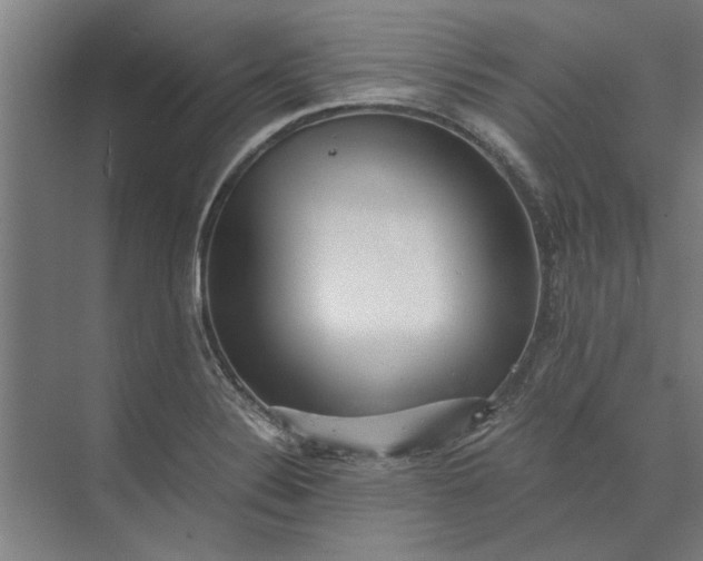 X0000073841324200608241006