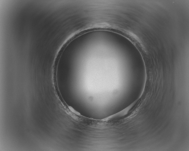 X0000073841326200608241006