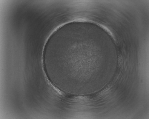 X0000073841327200608241007