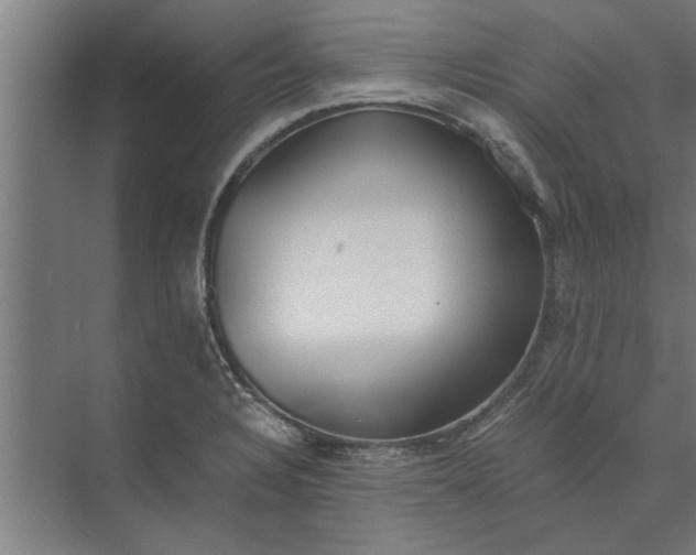 X0000073841328200608241007