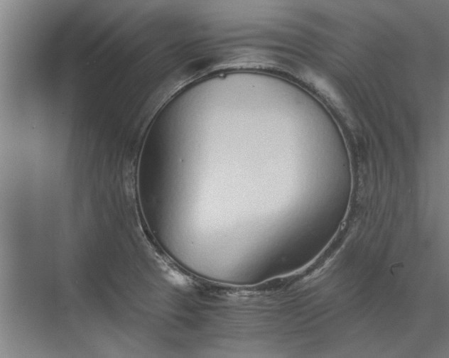 X0000073841329200608241007