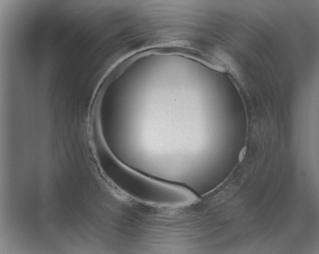 X0000073841332200608241007