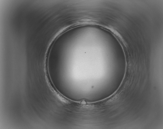 X0000073841333200608241007