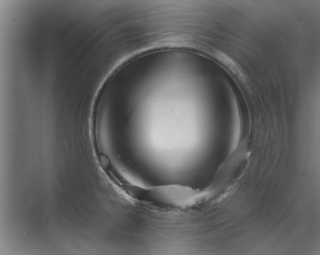 X0000073841334200608241007