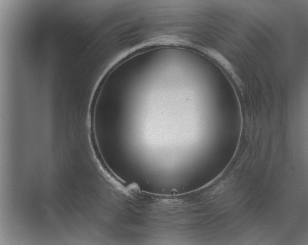 X0000073841335200608241007