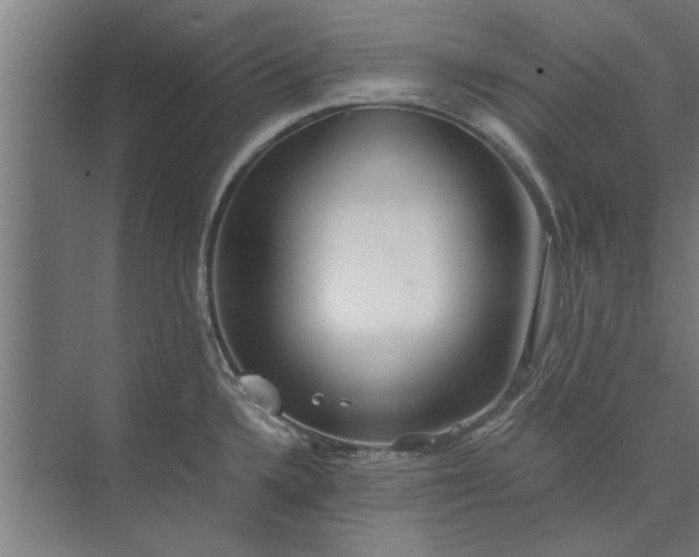 X0000073841336200608241007