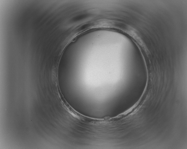 X0000073841337200608241007