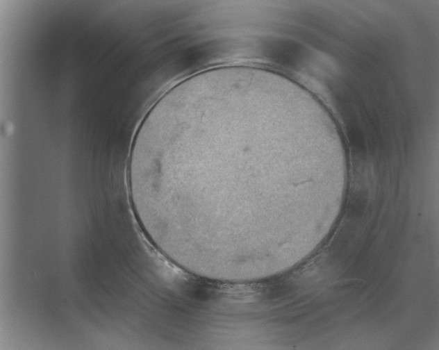 X0000073841338200608241007