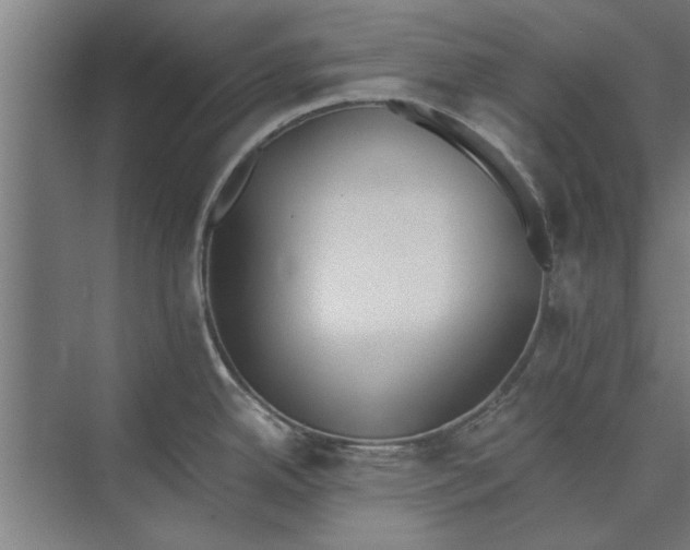 X0000073841342200608241007