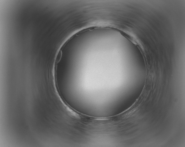 X0000073841343200608241007