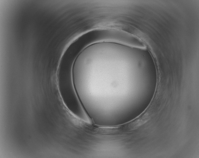 X0000073841344200608241007