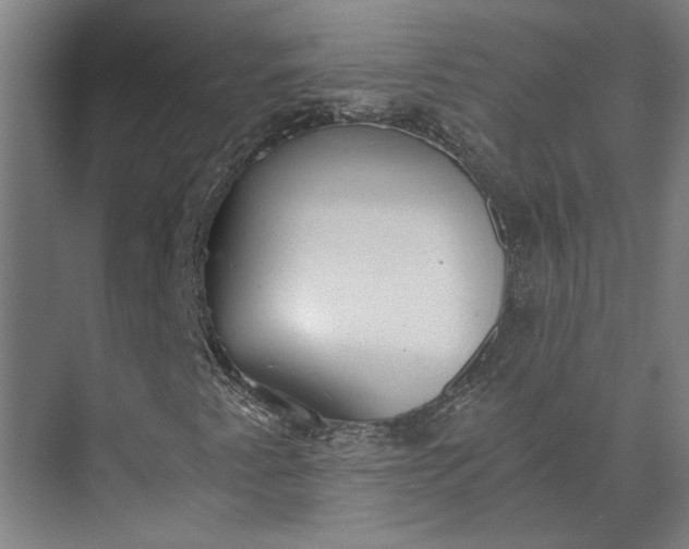 X0000073841345200608241006