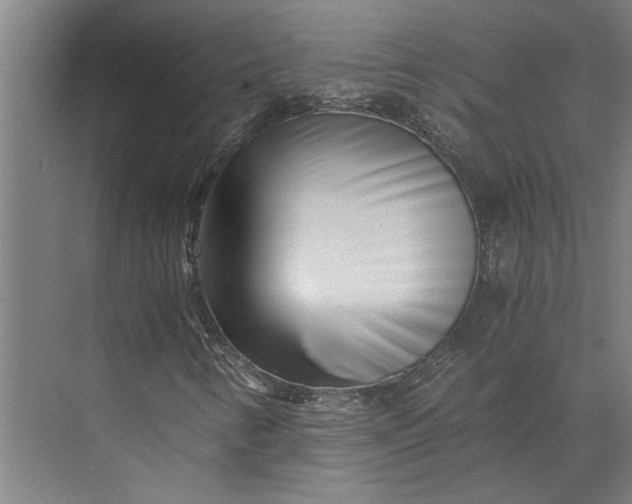 X0000073841346200608241006