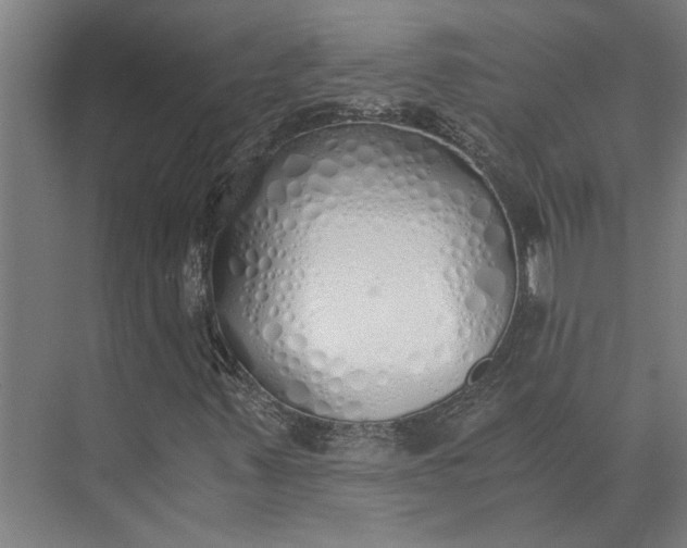 X0000073841347200608241006